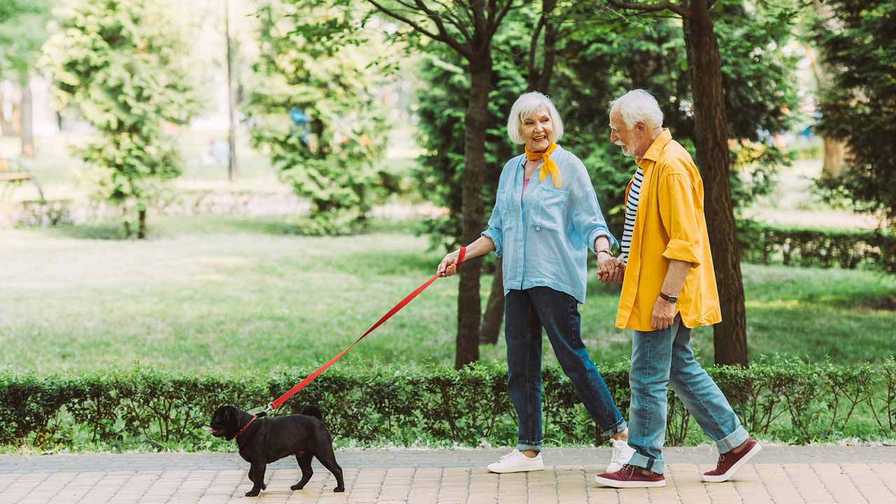 Couple walking the dog, holding hands.