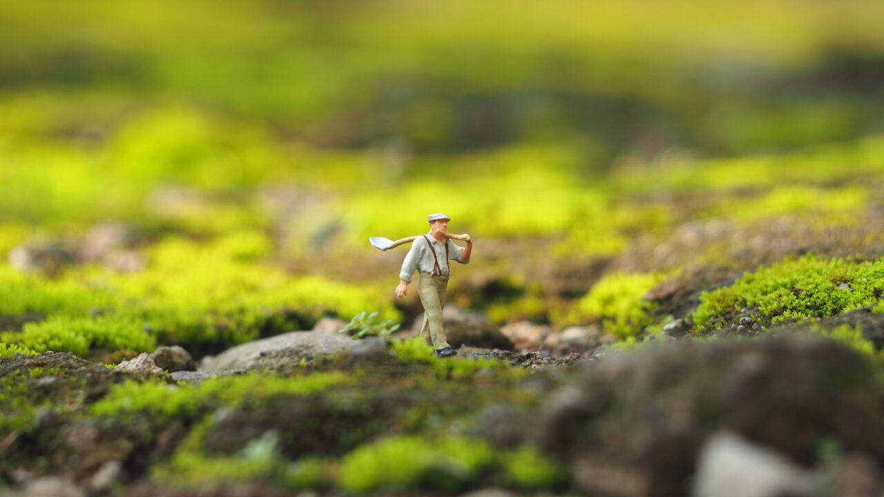 Mini figure in nature