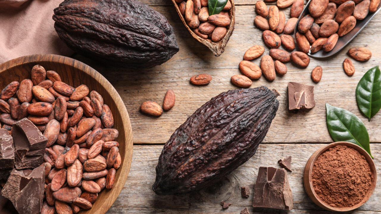 Cacao beans in bowls.