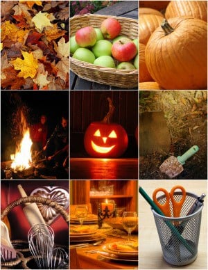 Fall Activities Images